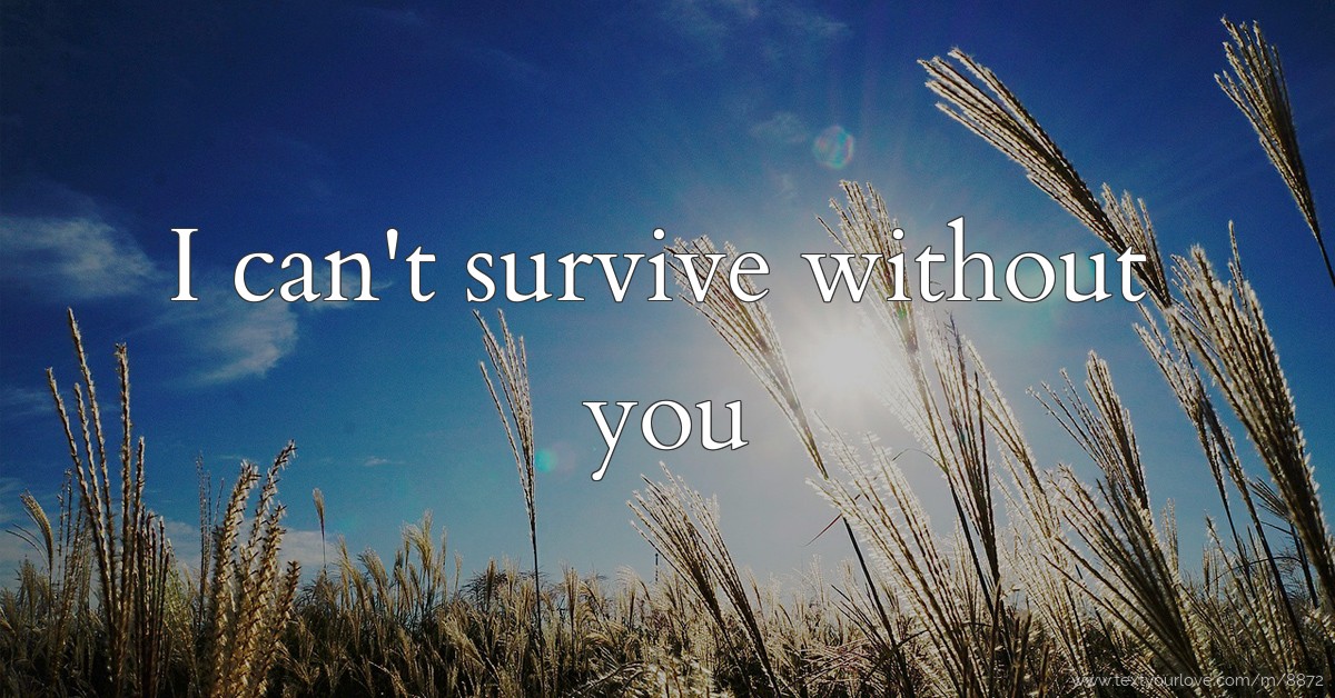 I can't survive without you | Text Message by love