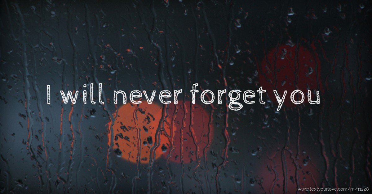 I will never forget you | Text Message by Naiem Rahman