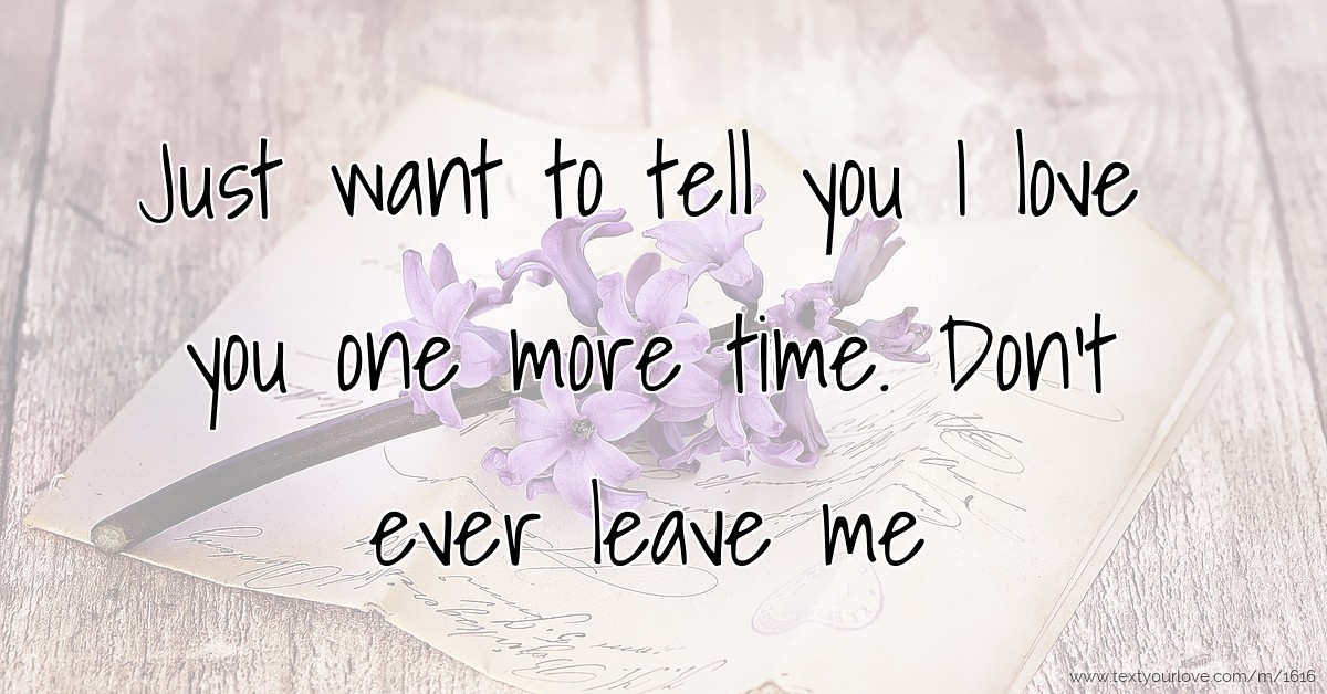 just-want-to-tell-you-i-love-you-one-more-time-don-t-text-message