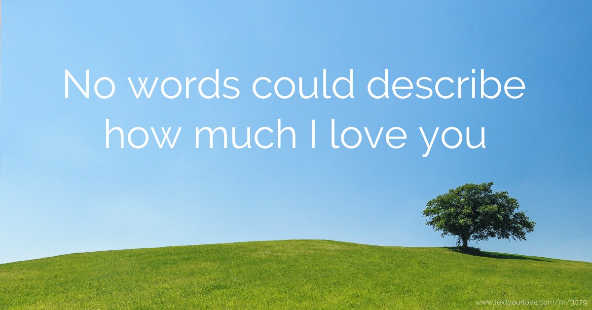 No words could describe how much I love you. | Text Message by emmm