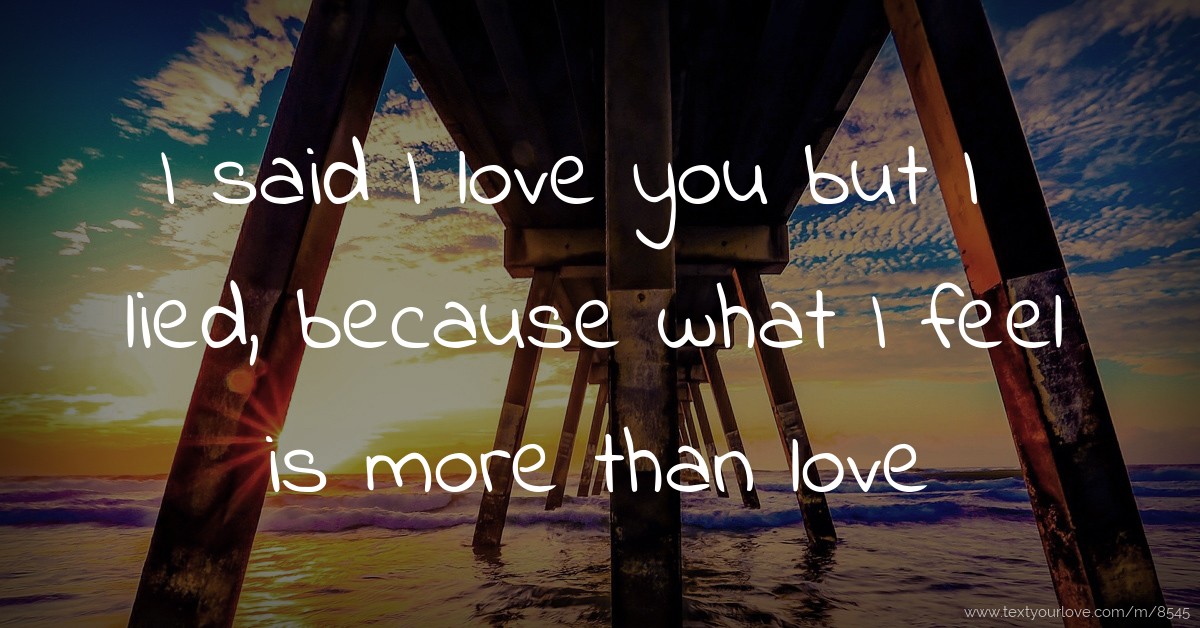 i-said-i-love-you-but-i-lied-because-what-i-feel-is-text-message