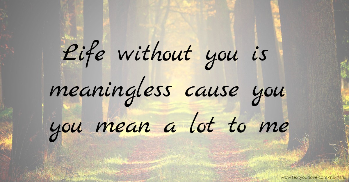 life-without-you-is-meaningless-cause-you-you-mean-a-text-message