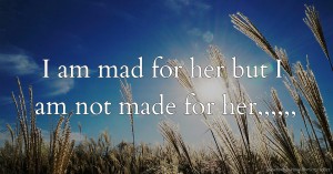 I am mad for her but I am not made for her,,,,,,