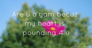 Are u a yam becuz my heart is pounding 4 u