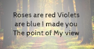 Roses are red Violets are blue I made you  The point of My view