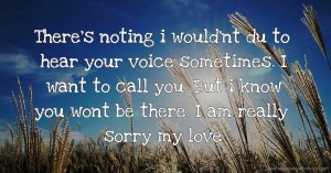 There's noting i would'nt du to hear your voice sometimes. I want to call you. But i know you wont be there. I am really sorry my love