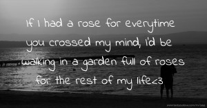 If I had a rose for everytime you crossed my mind, I'd be walking in a garden full of roses for the rest of my life<3