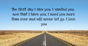 The first day I saw you, I wanted you, now that I have you, I need you more than ever and will never let go. I love you.