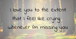 I love you to the extent that I feel like crying whenever I'm missing you.