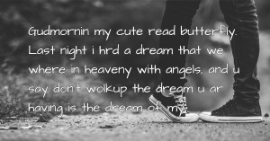 Gudmornin my cute read butterfly. Last night i hrd a dream that we where in heaveny with angels, and u say don't wolkup the dream u ar having is the dream of my