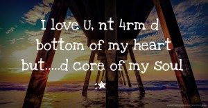 I love U, nt 4rm d bottom of my heart but.....d core of my soul :*