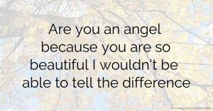 Are you an angel because you are so beautiful I wouldn't be able to tell the difference.