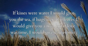 If kisses were water I would give you the sea, if hugs were the leaves I would give you a tree, but if love was time, I would give you eternity.