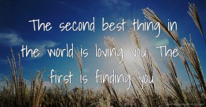 The second best thing in the world is loving you. The first is finding you.