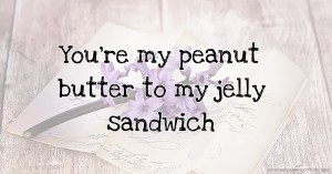 You're my peanut butter to my jelly sandwich.