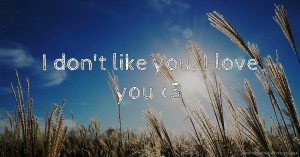 I don't like you, I love you <3