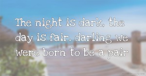 The night is dark, the day is fair, darling we were born to be a pair.