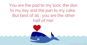 You are the pad to my lock, the don to my key and the pan to my cake. But best of all , you are the other half of me!