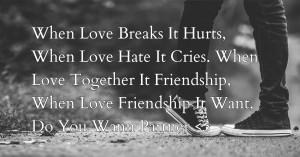 When Love Breaks  It Hurts,  When Love Hate  It Cries.  When Love Together It Friendship,  When Love Friendship It Want,  Do You Wann Partner <3