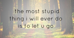 the most stupid thing i will ever do is to let u go