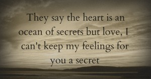 They say the heart is an ocean of secrets but love, I can't keep my feelings for you a secret