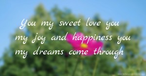 You my sweet love you my joy and happiness you my dreams come through.