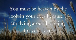 You must be heaven by the look in your eyes because I am flying around looking for your love.