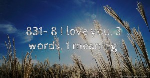 831- 8 I love you, 3 words, 1 meaning.
