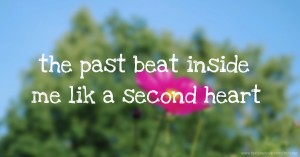 the past beat inside me lik a second heart