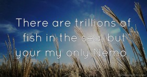 There are trillions of fish in the sea, but your my only Nemo.