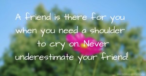 A friend is there for you when you need a shoulder to cry on. Never underestimate your friend!