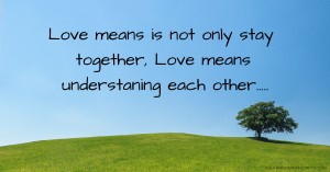 Love means is not only stay together,  Love means understaning each other.....