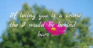 If loving you is a crime the I would be behind bars