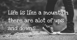 Life is like a mountain there are alot of ups and downs...