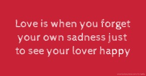 Love is when you forget your own sadness just to see your lover happy.