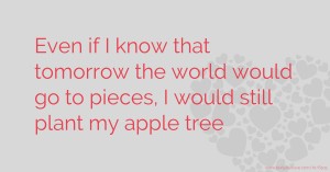 Even if I know that tomorrow the world would go to pieces, I would still plant my apple tree.