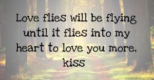 Love flies will be flying until it flies into my heart to love you more, kiss.