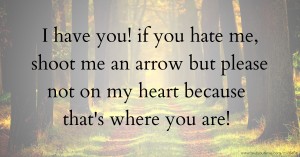 I have you! if you hate me, shoot me an arrow but please not on my heart because that's where you are!