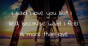 I said I love you but I lied, because what I feel is more than love