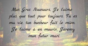 Mon Gros Nounours, Je t'aime plus que tout pour toujours. Tu es ma vie, ton bonheur fait le mien. Je t'aime à en mourir, Jeremy mon futur mari.