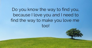 Do you know the way to find you, because I love you and I need to find the way to make you love me too!